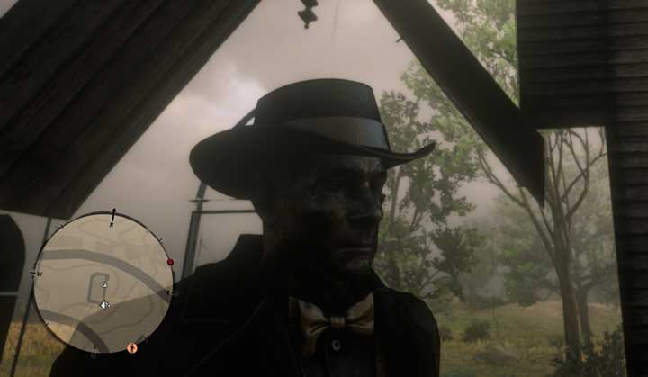 RDR2 Online character without textures